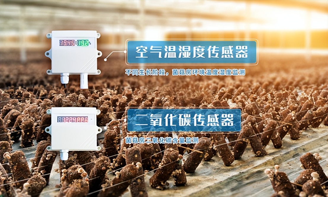 空气温湿度传感器、二氧化碳传感器
