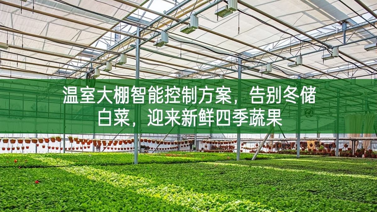 温室大棚智能控制方案，告别冬储白菜，迎来新鲜四季蔬果